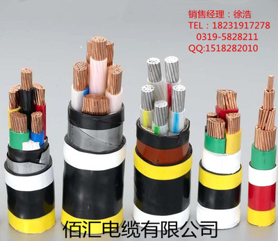 ZR-F46(FV)-2*25 氟塑料絕緣阻燃電力電纜 性能、應用與佰匯電纜專業解析